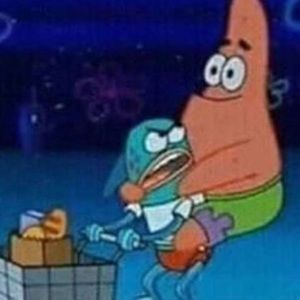 Meet your Posher, Bailey